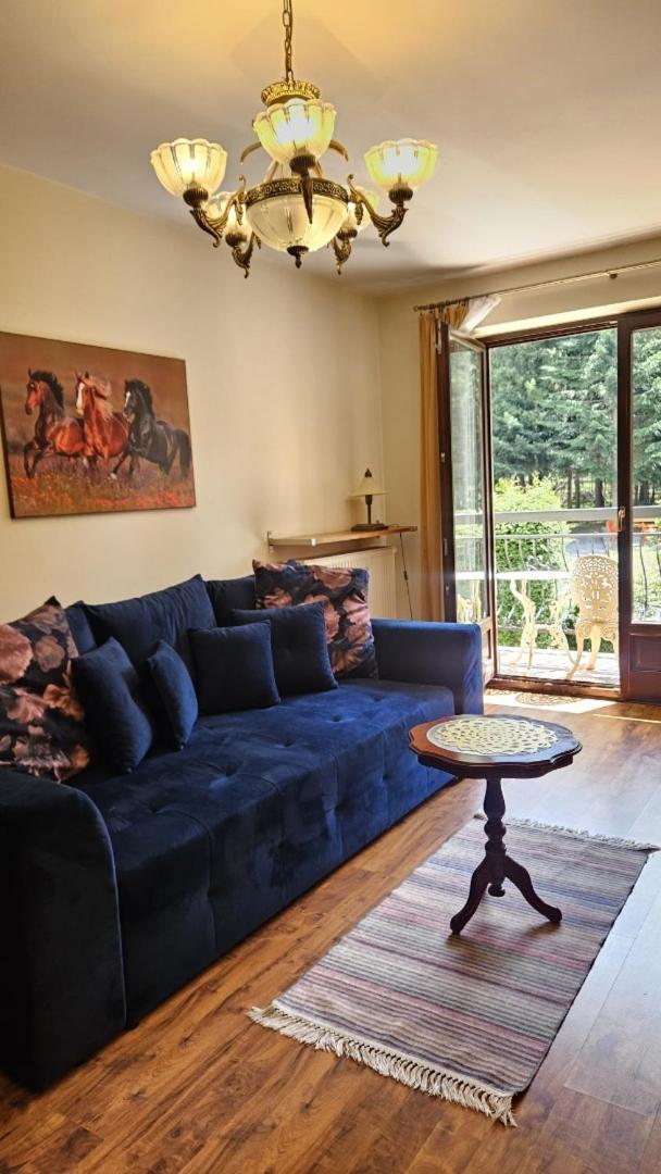 Apart4You Apartamenty Bulwary25 Zakopane Rum bild